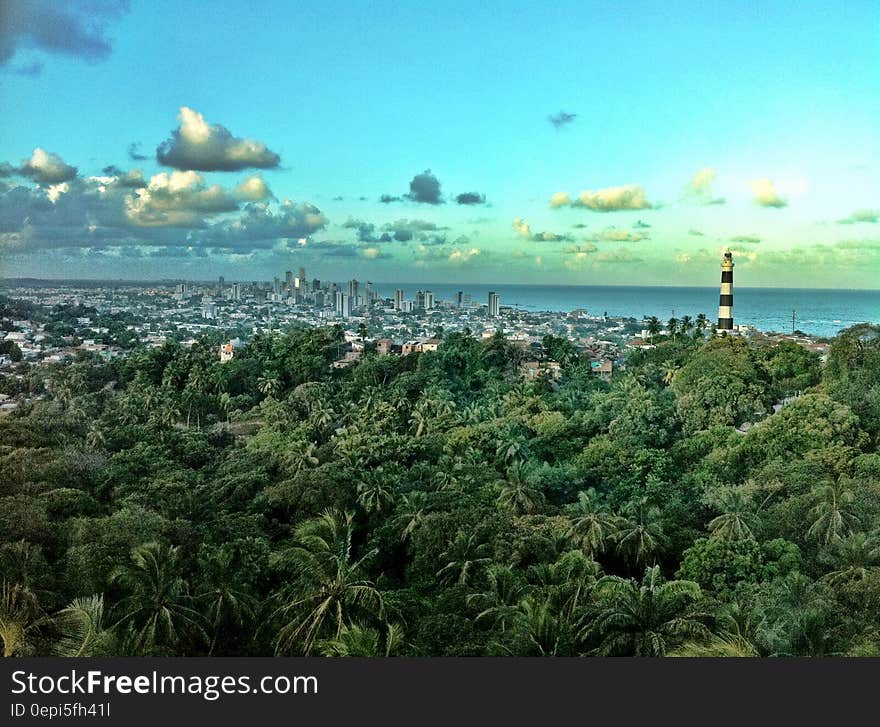 Panoramic view of a tropical forest and the city of Olinda in Brazil. Panoramic view of a tropical forest and the city of Olinda in Brazil.