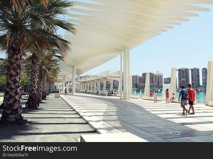 Ultramodern architect designed five star hotel with walkway beside swimming pool and line of palm trees and unique cream colored overhead screen to provide shelter from the sun. Ultramodern architect designed five star hotel with walkway beside swimming pool and line of palm trees and unique cream colored overhead screen to provide shelter from the sun.