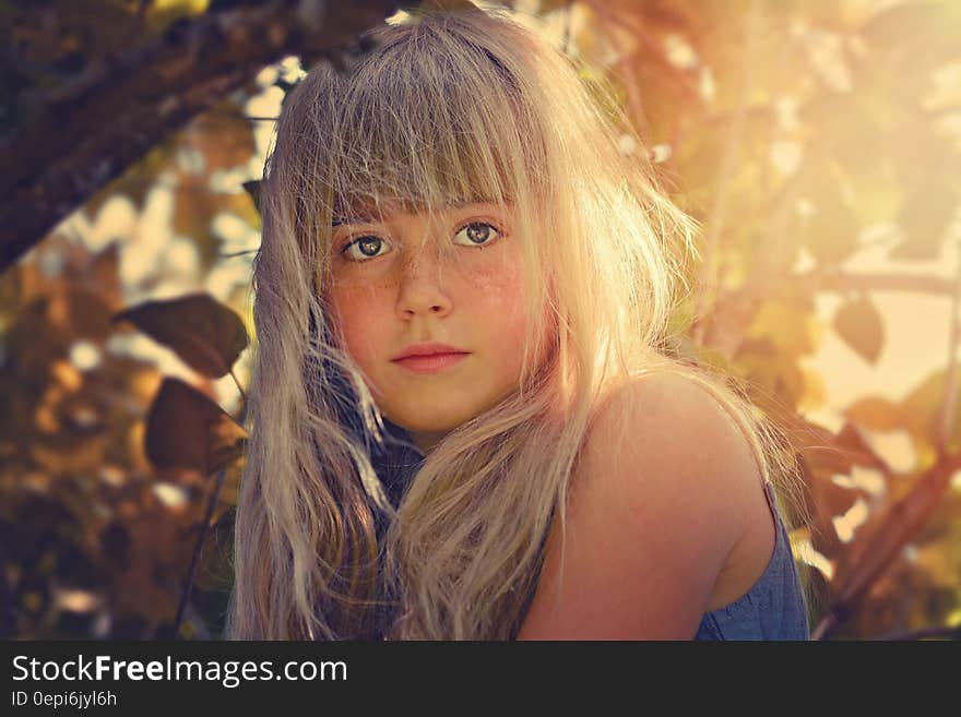 A portrait of a blond girl with blue eyes outdoor in nature, sunbeams falling on her hair. A portrait of a blond girl with blue eyes outdoor in nature, sunbeams falling on her hair.