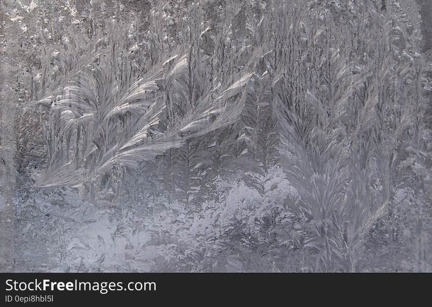 A frosted window in the winter.