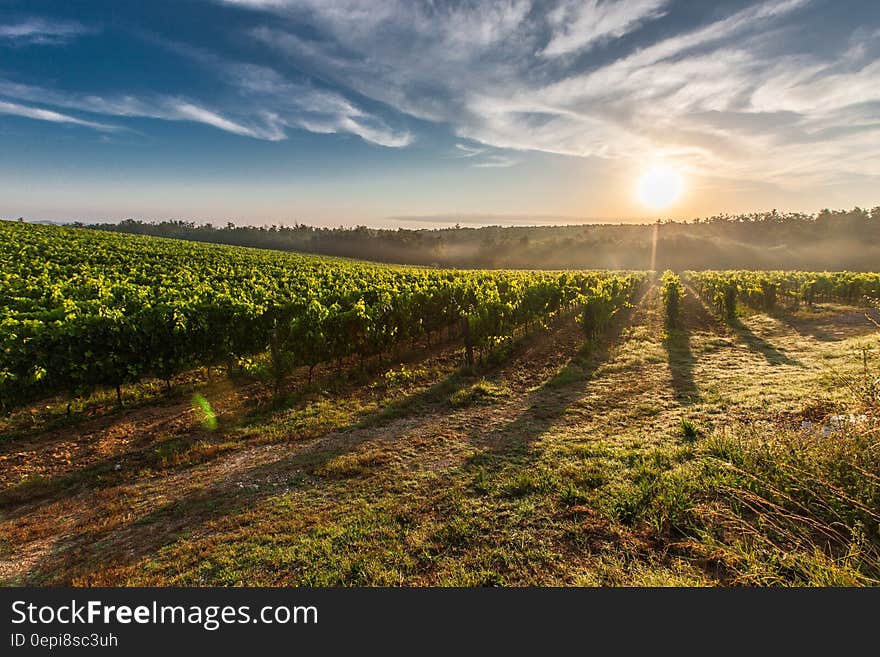 Farm Land during Sunset