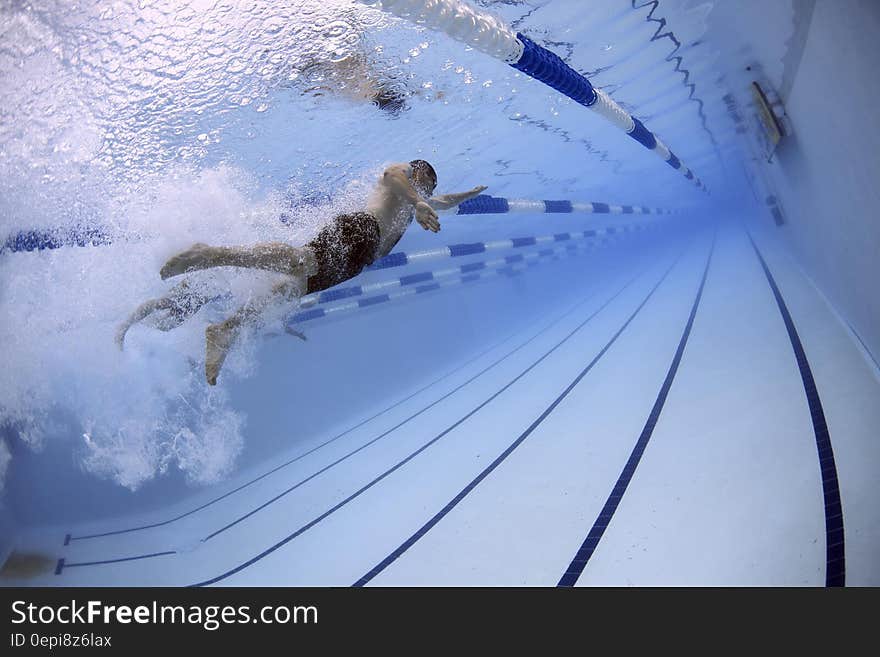 Man in the Swimming Pool