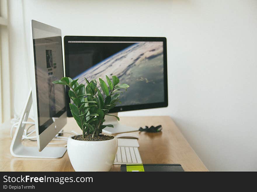 A computer workstation with dual monitors and a houseplant. A computer workstation with dual monitors and a houseplant.