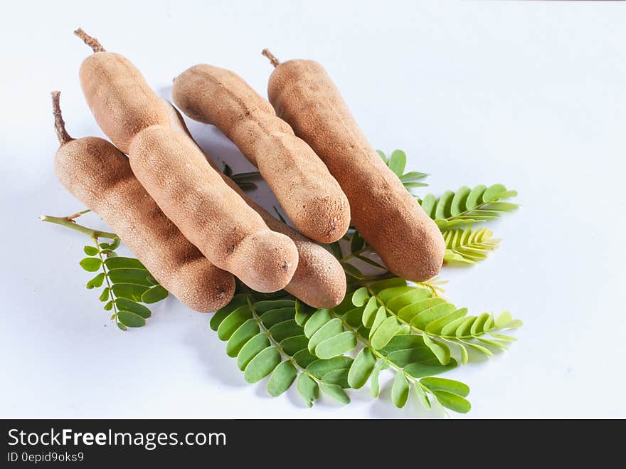 Close up of tamarind pods on green leaves against white. Close up of tamarind pods on green leaves against white.