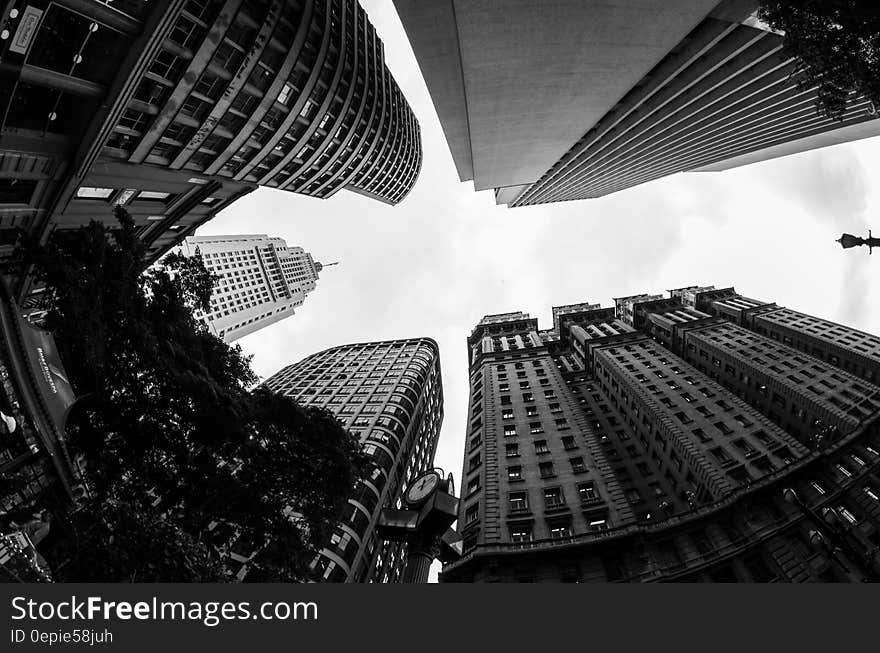 Trees in Between Concrete Buildings during Daytime