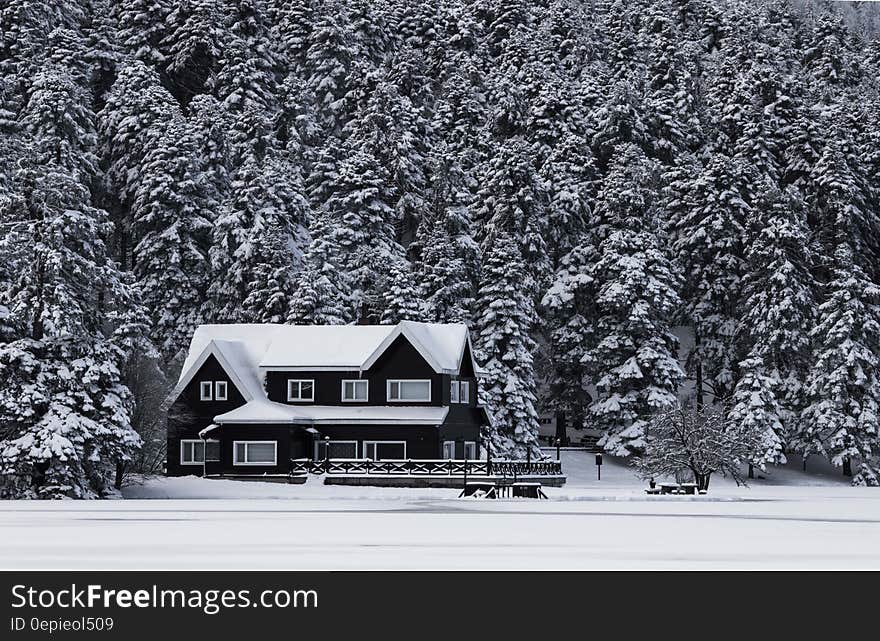 Snowy House Grayscale Photo