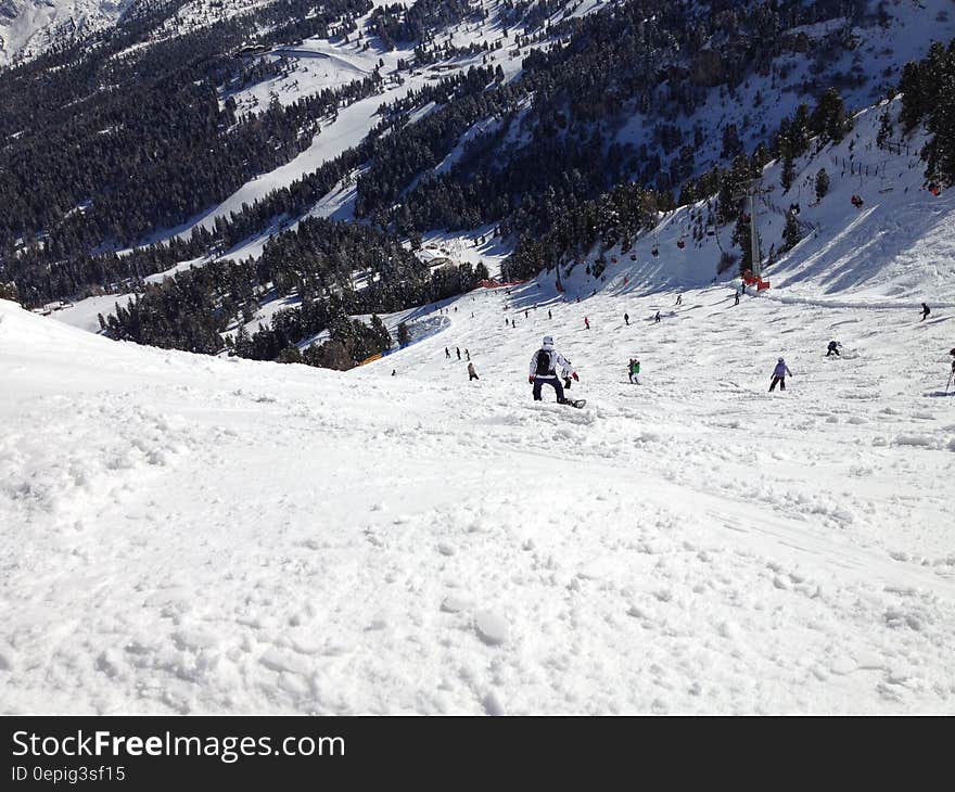 People on Snow Near in Green Trees