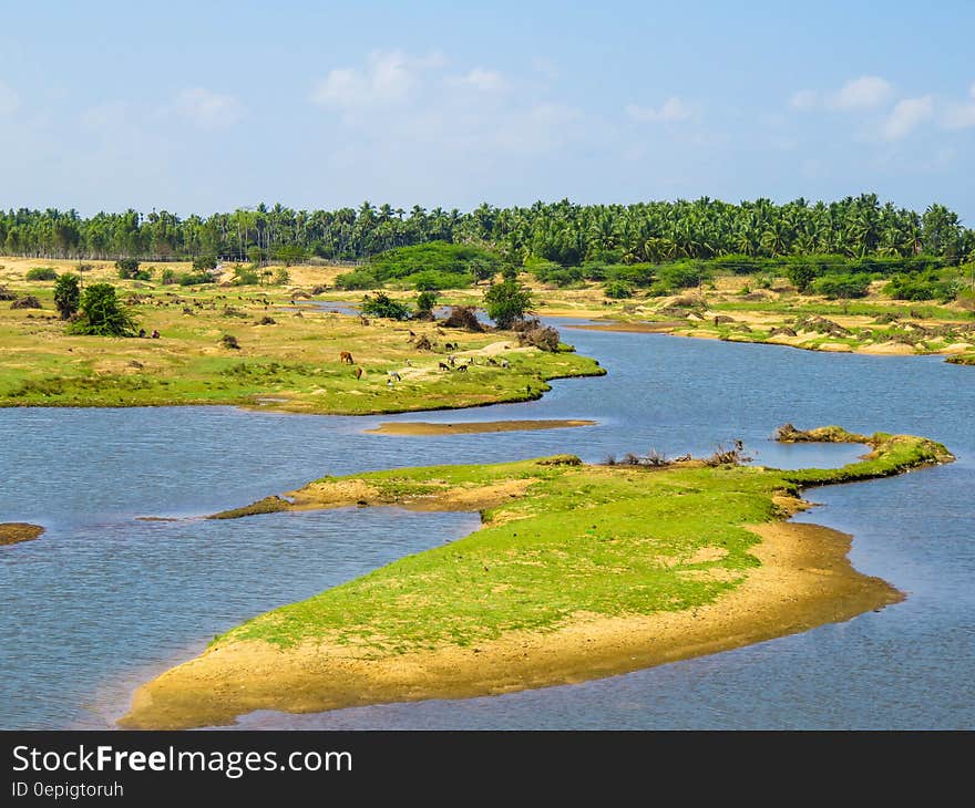 Green Grass Field Island Under Blue Sky during Daytime