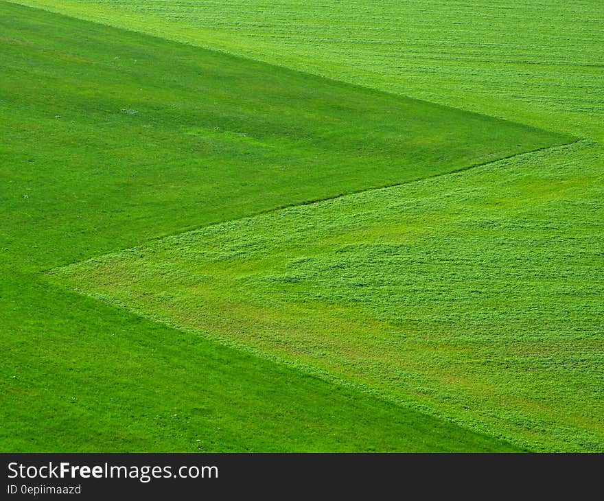 Green Grass Field