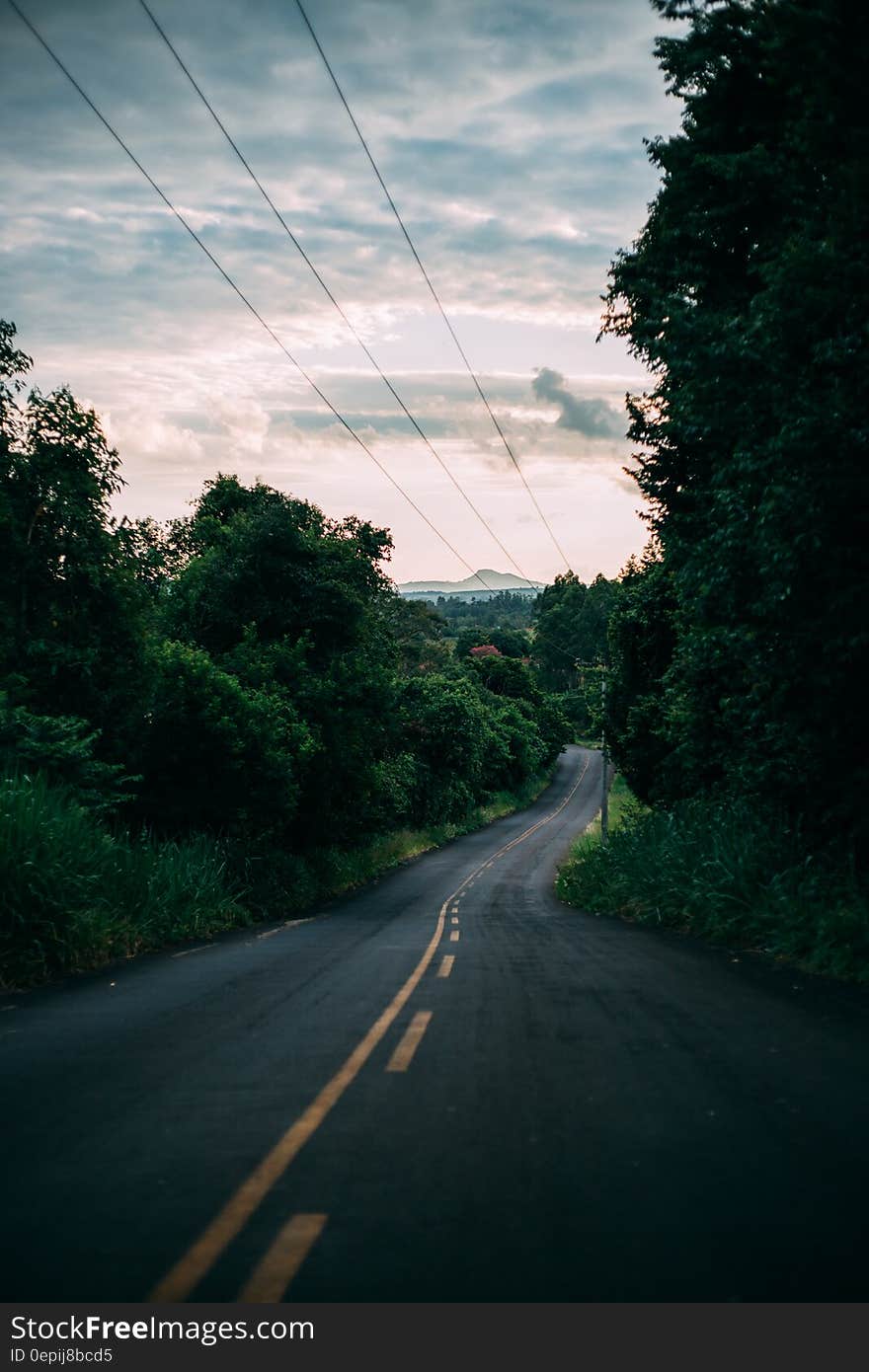 Downhill country lane with markings to allow overtaking when driving uphill. Trees on both sides of the road and power cables overhead.