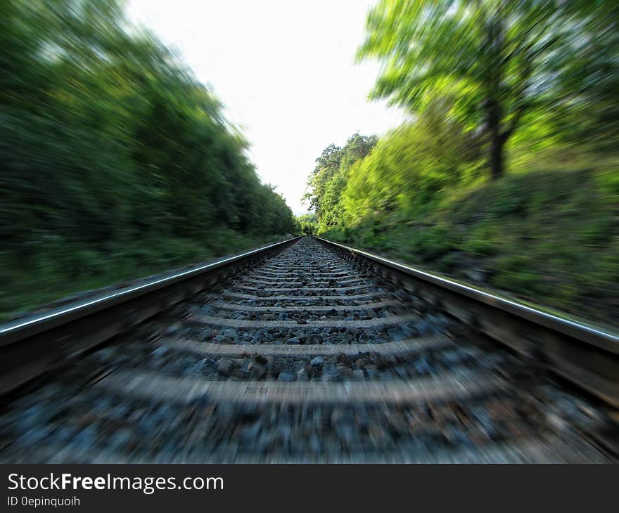 Gray Metal Railway Across in Green Trees during Day Time