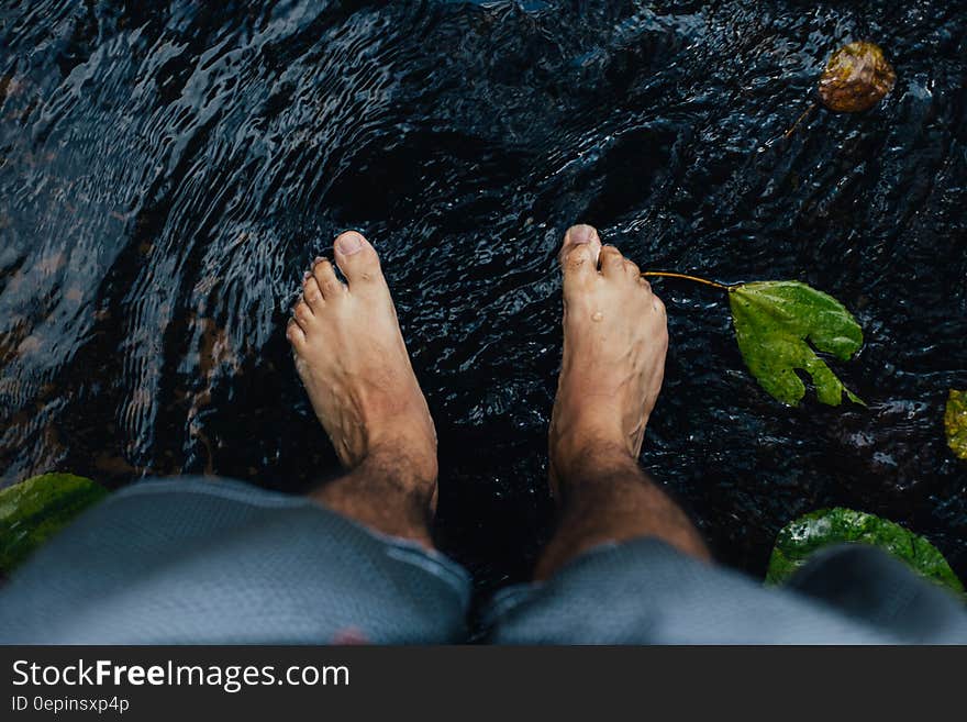 Close up of feet standing on rocks in water with green leaves. Close up of feet standing on rocks in water with green leaves.