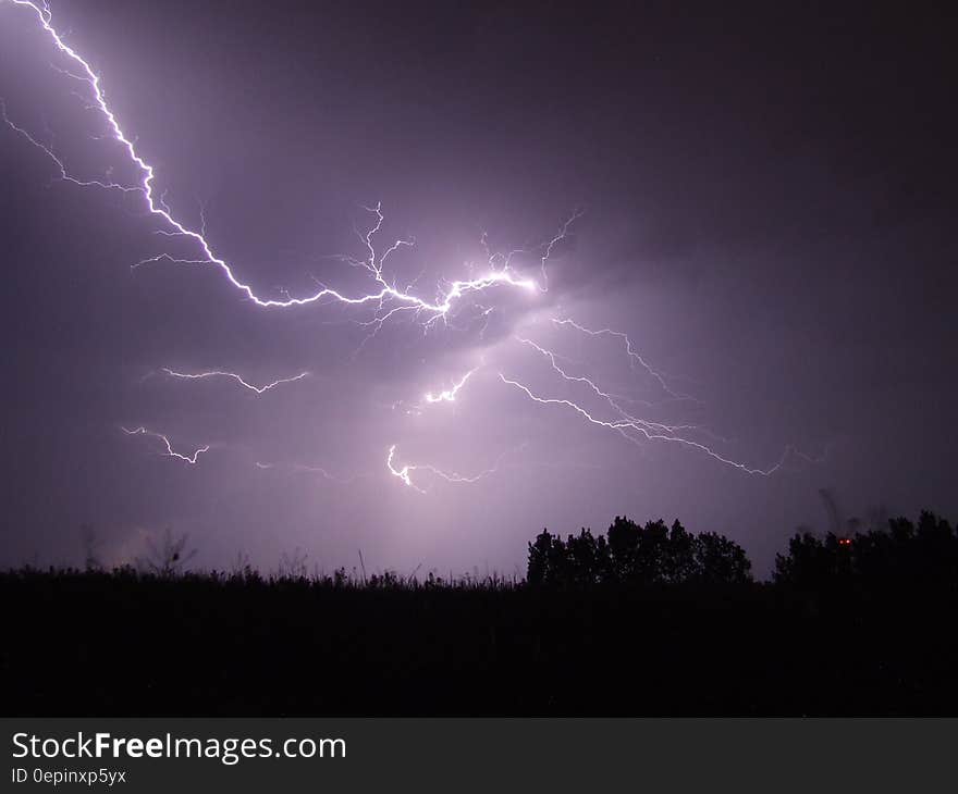 Lightning Crashed Under Trees during Night Time