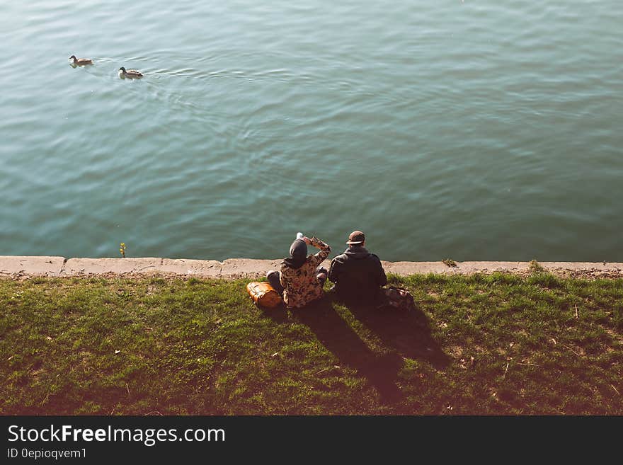 Men and Women Watching at the Beach With the Ducks