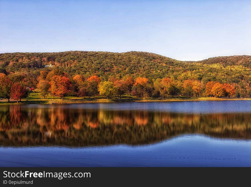 Photo of River Beside Trees Near Mountain Ranges