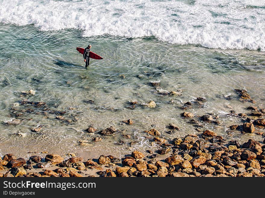 Person Holding Red Surfing Board in Clear Water Near Brown Stone during Daytime