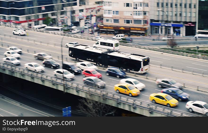 Black and White Bus during Daytime