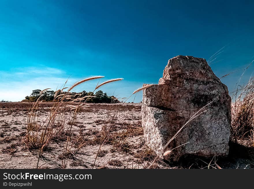 Granite rock in the desert, sparkling in the sun surrounded by sand and tall spikes of dry grass, blue sky background.,