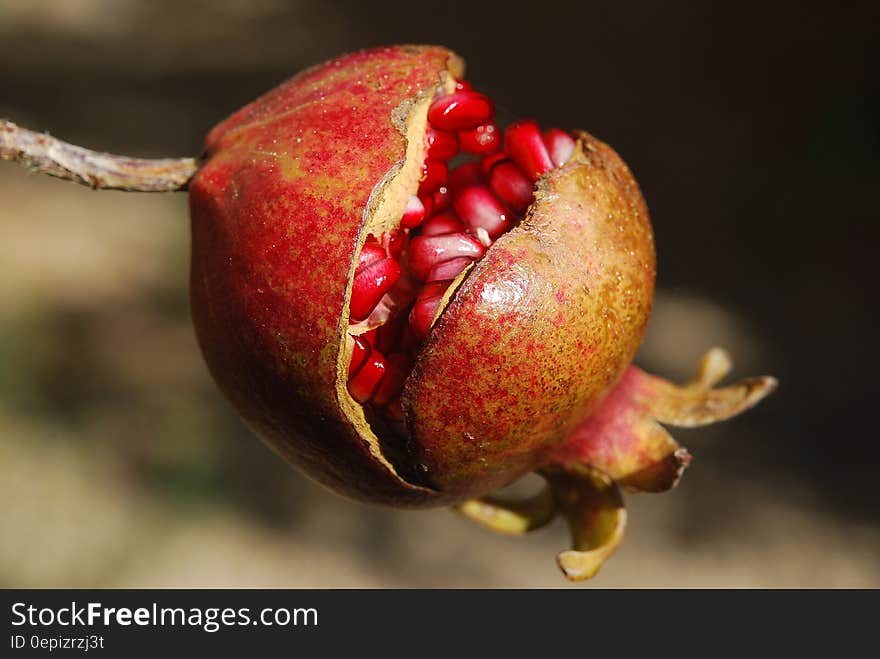 Brown and Red Round Fruit