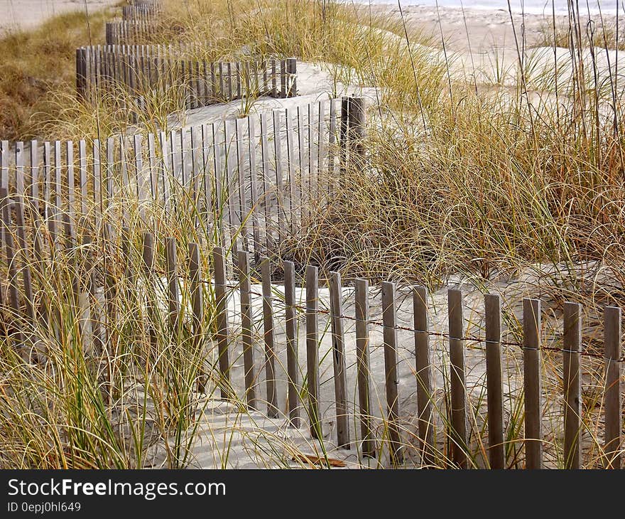 Brown Wooden Fence