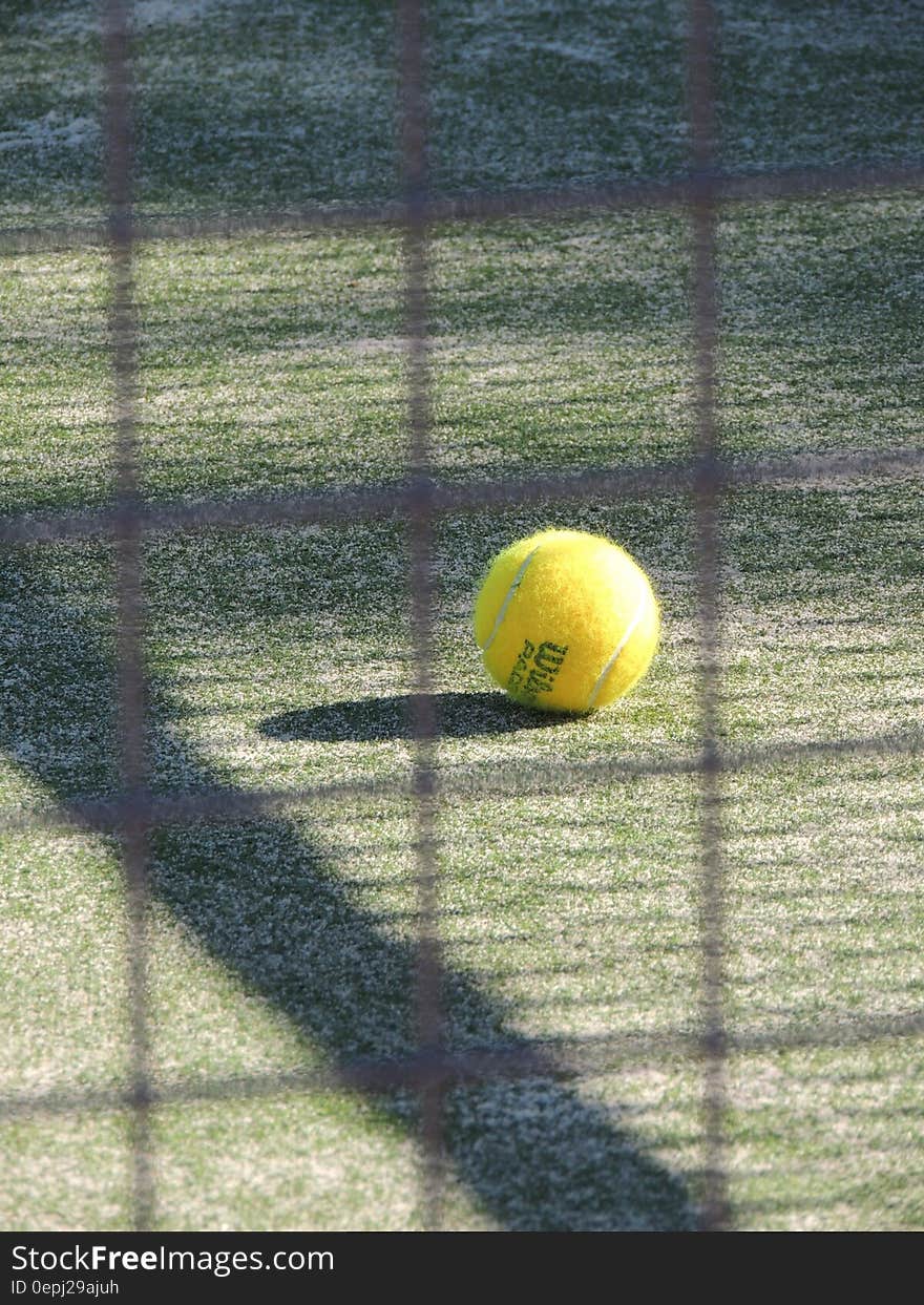 Tennis Ball in Green Grass during Daytime