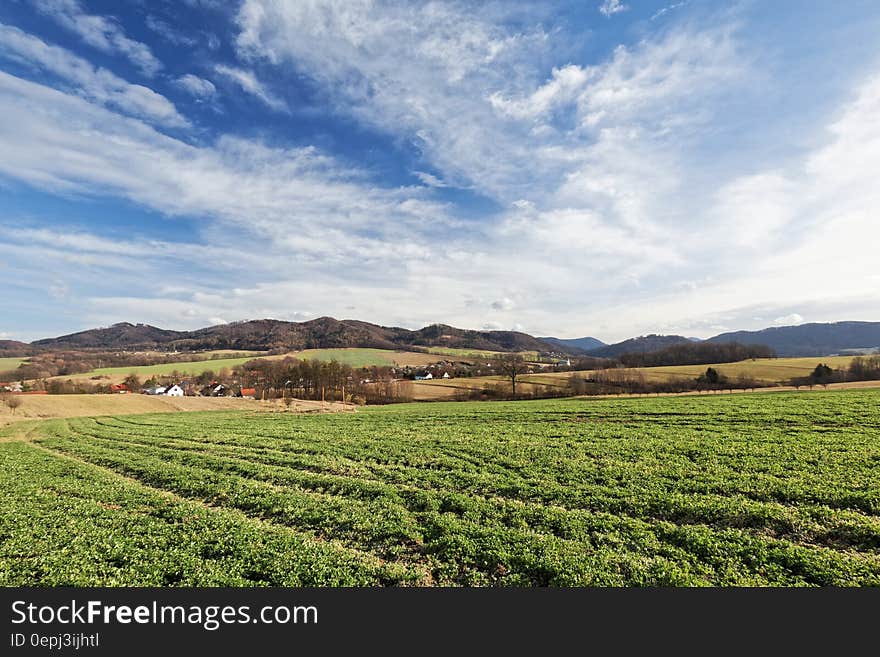 Green Crops Under White Clouds and Blue Sky during Daytime