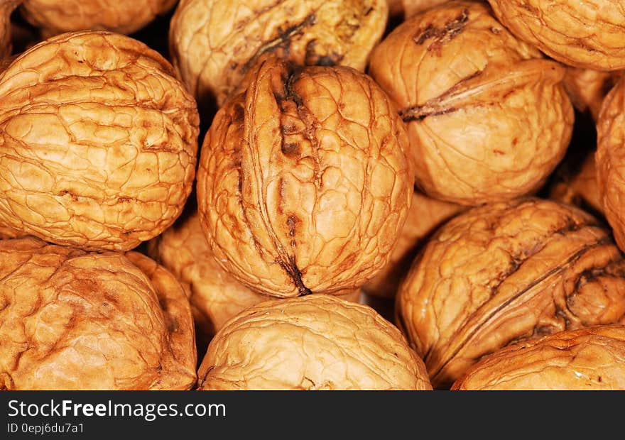 Close up of whole walnuts in the shell. Close up of whole walnuts in the shell.