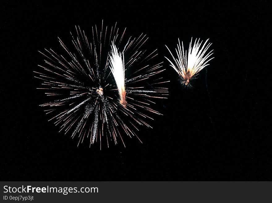 Fireworks during Night Time