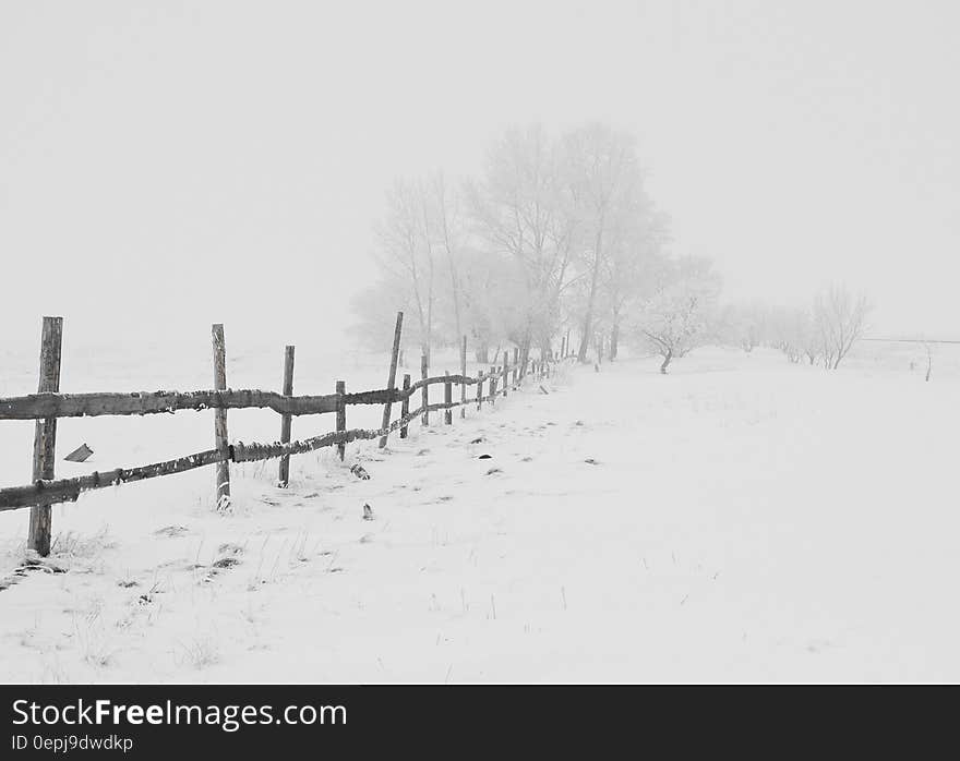 Black Wooden Fence on Snow Field at a Distance of Black Bare Trees