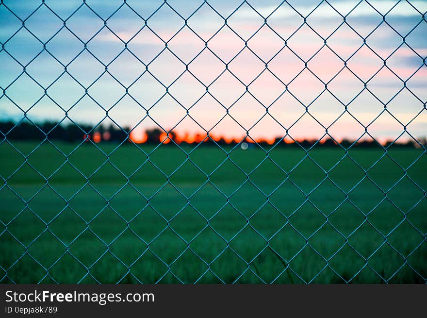 Metal mesh fence by green field at sunset. Metal mesh fence by green field at sunset.