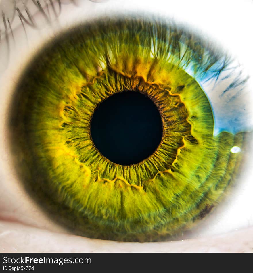 Macro close up of green iris and pupil in human eye. Macro close up of green iris and pupil in human eye.