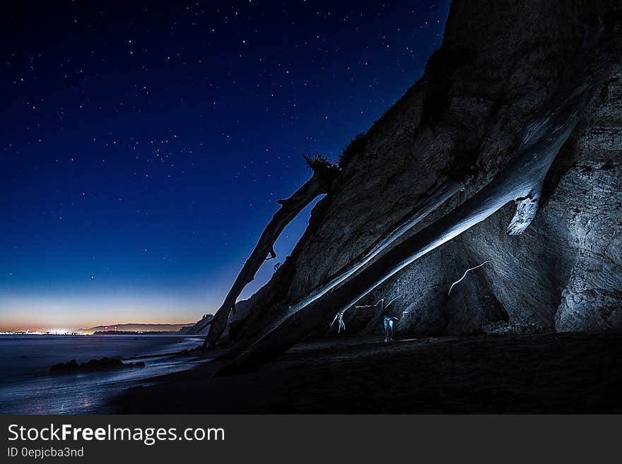 Trees leaning against side of cliff along waterfront at night with starry skies. Trees leaning against side of cliff along waterfront at night with starry skies.