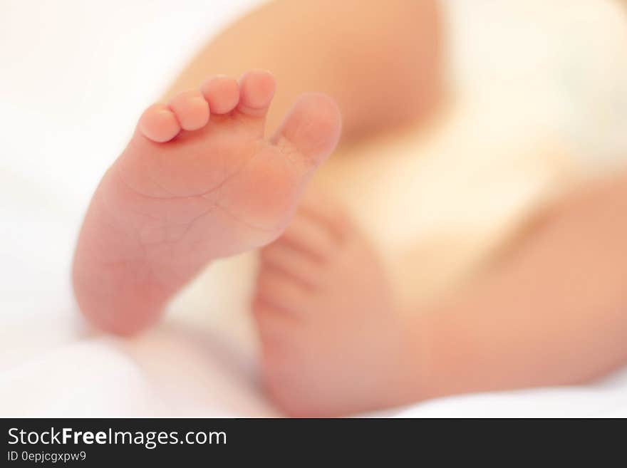 Baby&#x27;s Right Foot in Macro Photograph