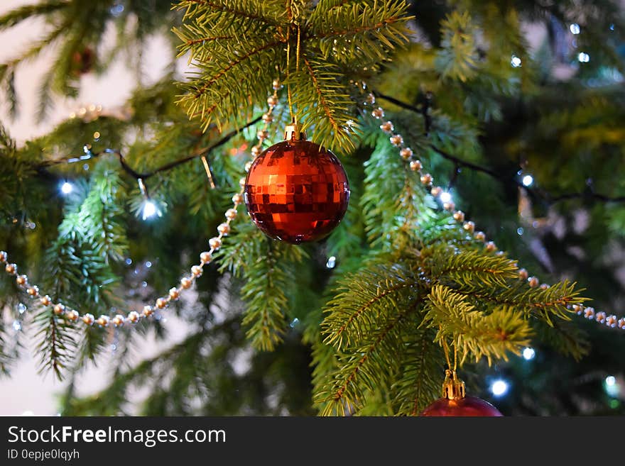 Red Baubels Hang on the Christmas Tree