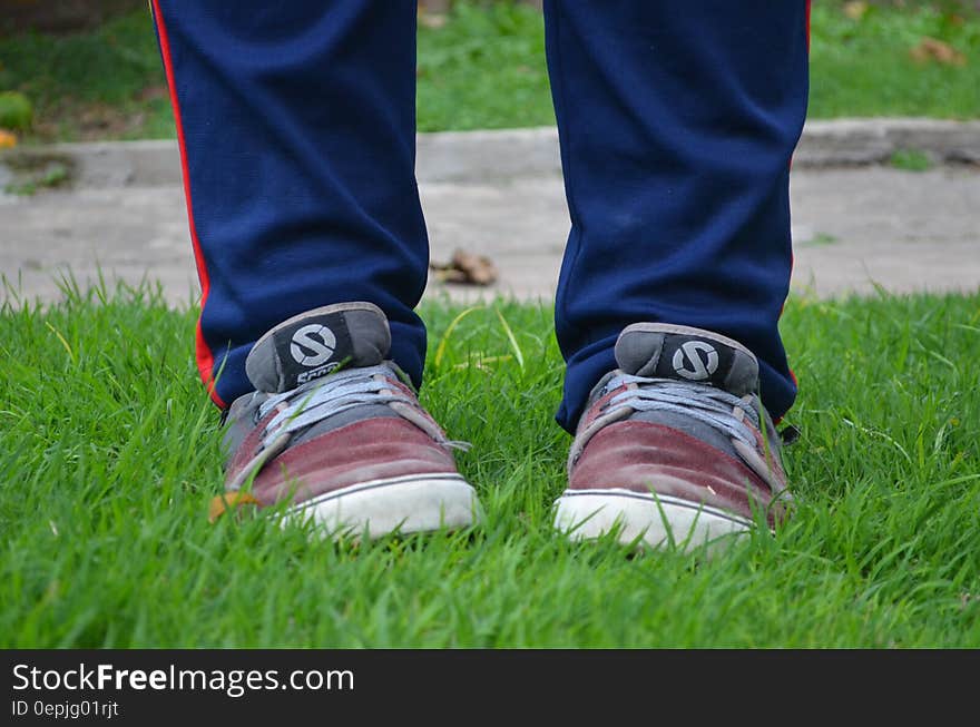 Person in Red Grey Sneakers on Green Grass