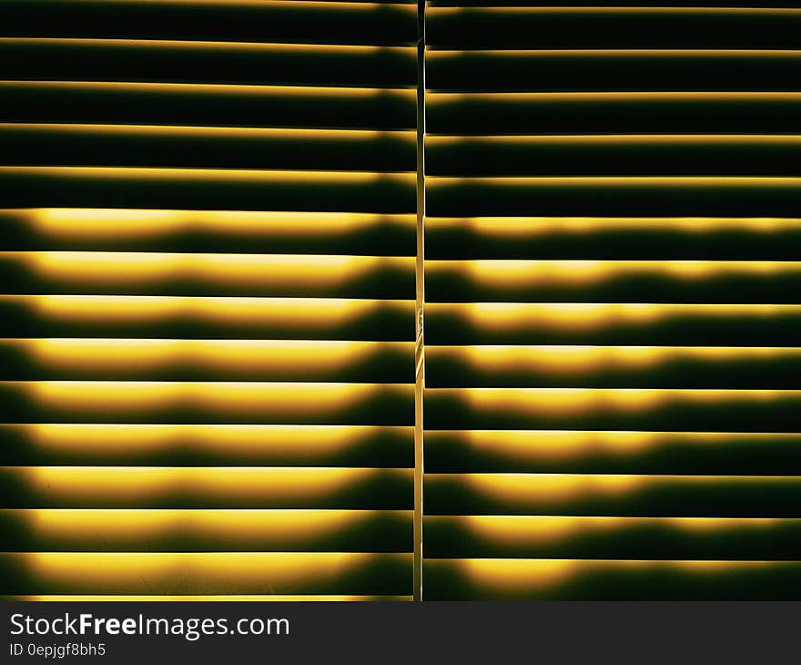 White Window Blinds