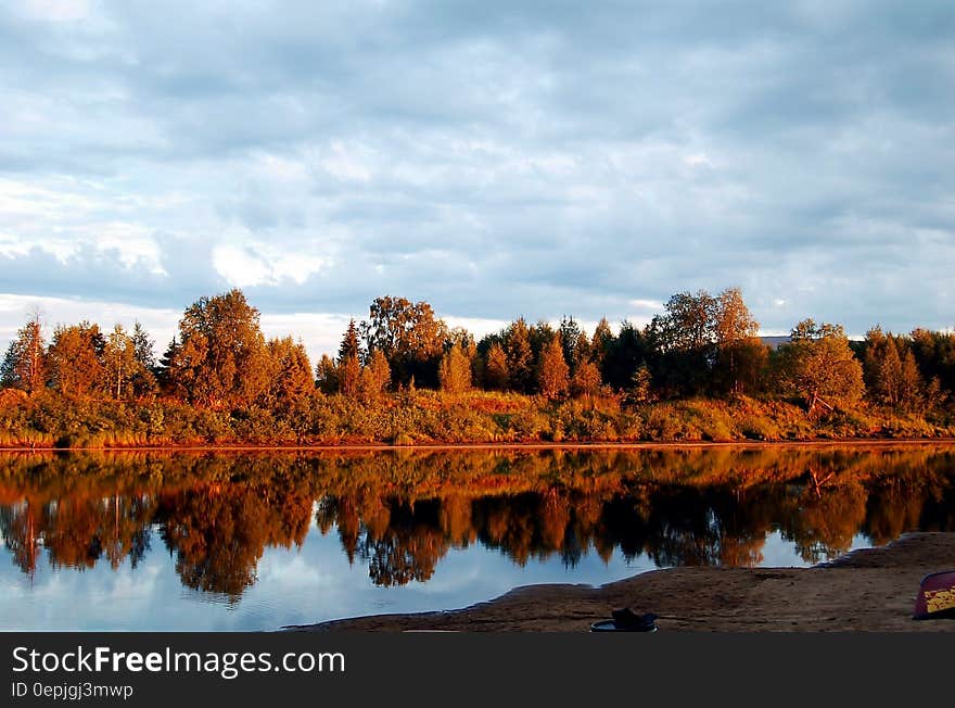 Photo of Trees Near the Lake during Daytime