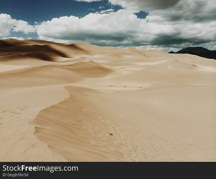 Empty sandy dune in desert on sunny day. Empty sandy dune in desert on sunny day.