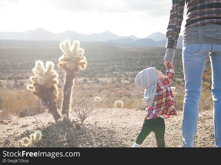 Person Holding Toddler Hand