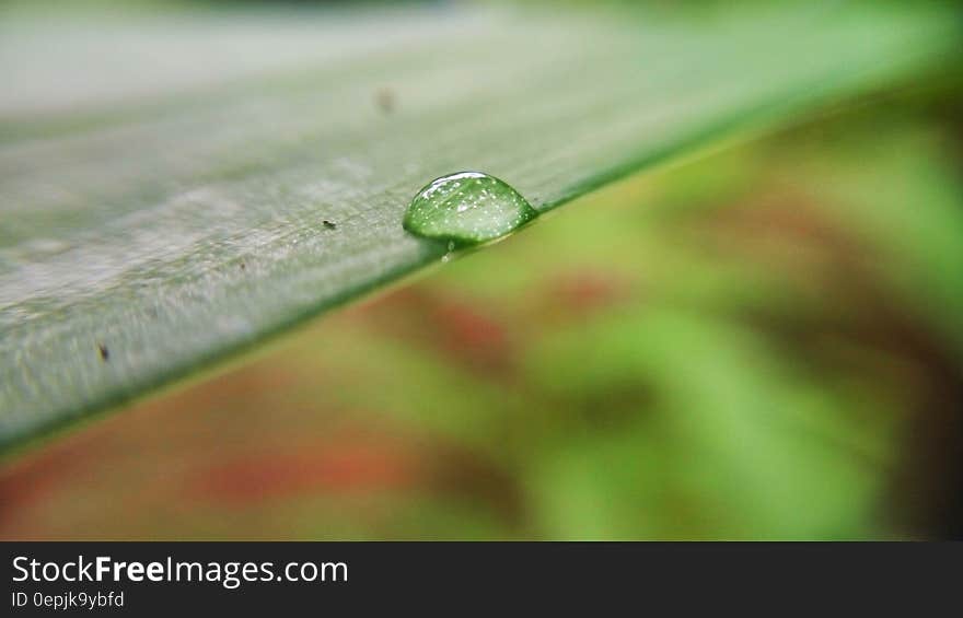 A dew drop on a green leaf. A dew drop on a green leaf.