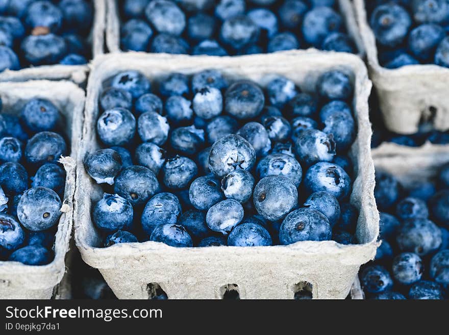 Blueberry Fruit on Gray Container