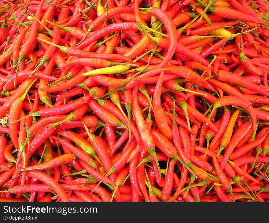 Red Chili