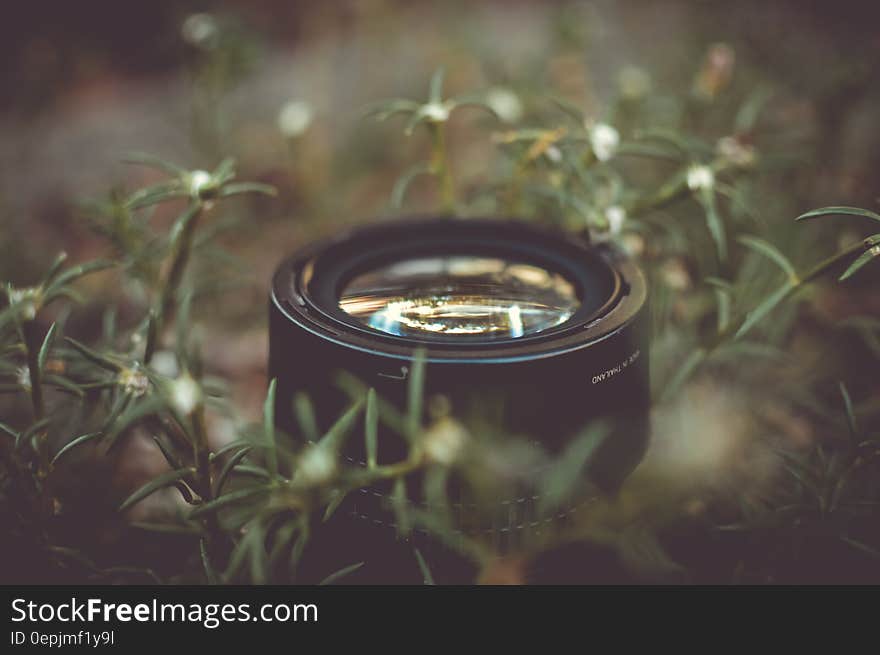 Camera Lens Surrounded by Green Outdoor Grass