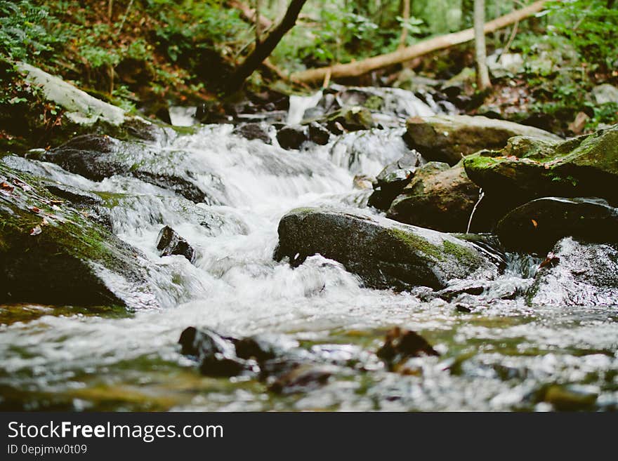 Water rapids over rocks in rural stream. Water rapids over rocks in rural stream.