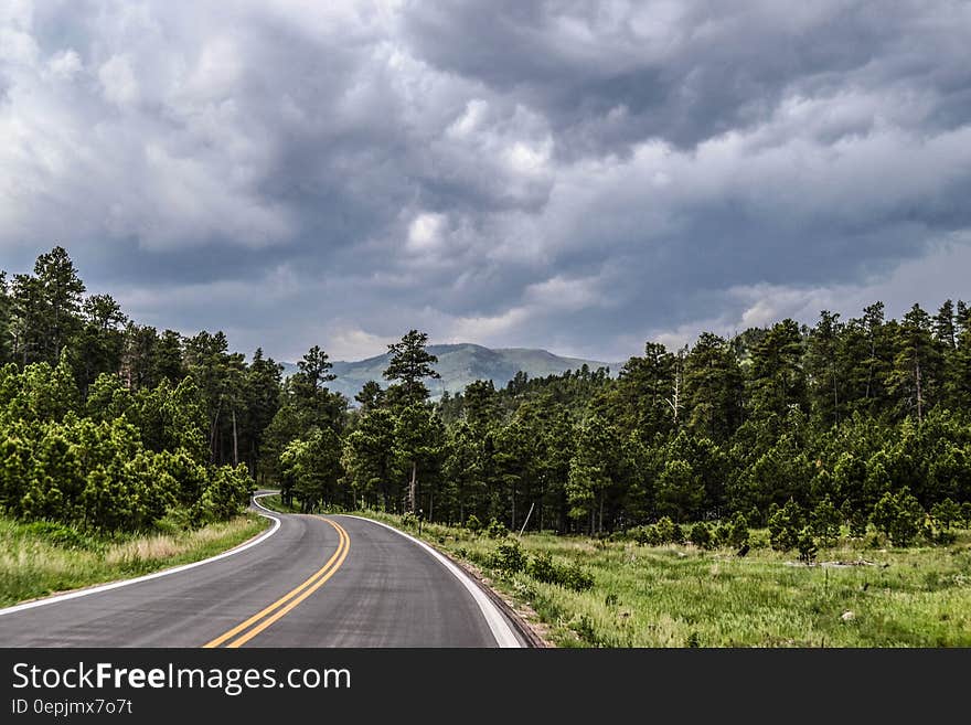 Curving road receding through countryside forest with cloudscape background. Curving road receding through countryside forest with cloudscape background.