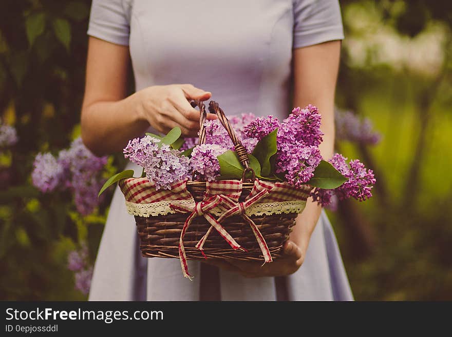 Woman Carrying Purple Flowers