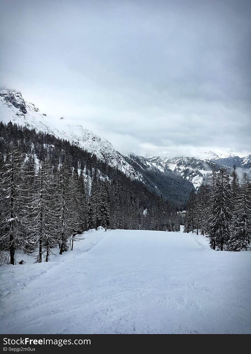 Snow Covered Ground With Pine Trees at the Foot of Mountain during Winter