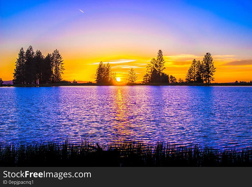 Blue and Orange Sunset over Lake With Tree Silhouettes