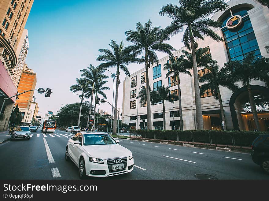 White Audi Sedan on Gray Concrete Road Near Green Trees Surround by Concrete Buildings