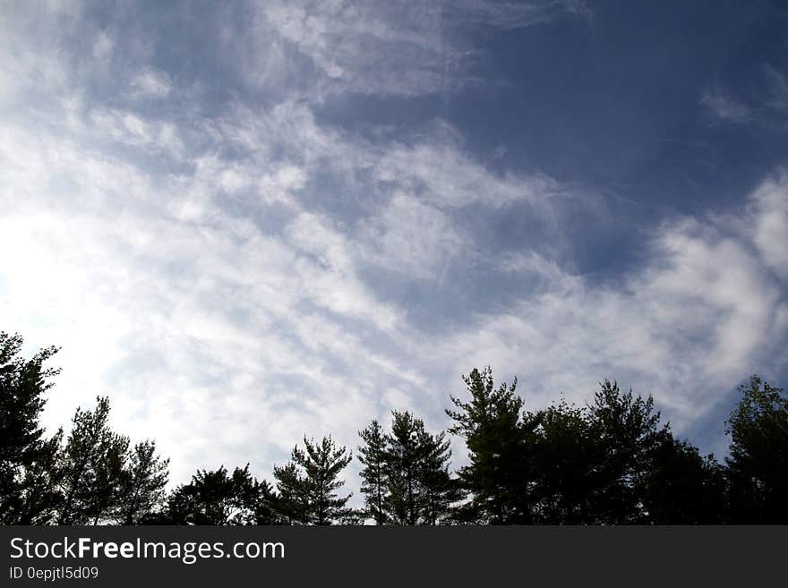 A blue sky with white clouds over a forest. A blue sky with white clouds over a forest.